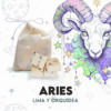 Waxmelts - Aries - Lima y Orquídea