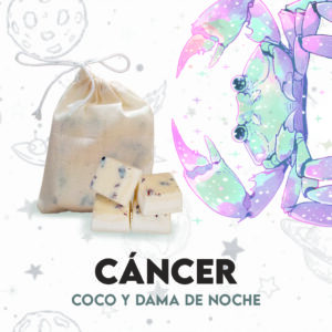 Waxmelts - Cáncer - Coco y Dama de noche