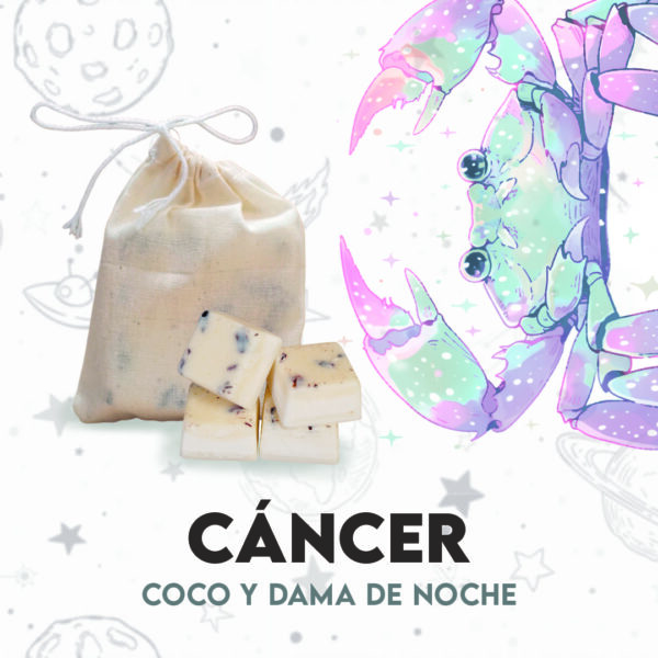 Waxmelts - Cáncer - Coco y Dama de noche