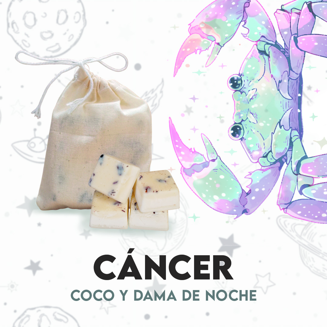 Waxmelts - Cáncer - Coco y Dama de noche