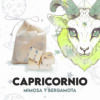 Waxmelts - Capricornio - Mimosa y Bergamota