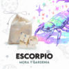 Waxmelts - Escorpio - Mora y Gardenia