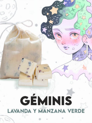 Waxmelts - Géminis - Lavanda y Manzana Verde