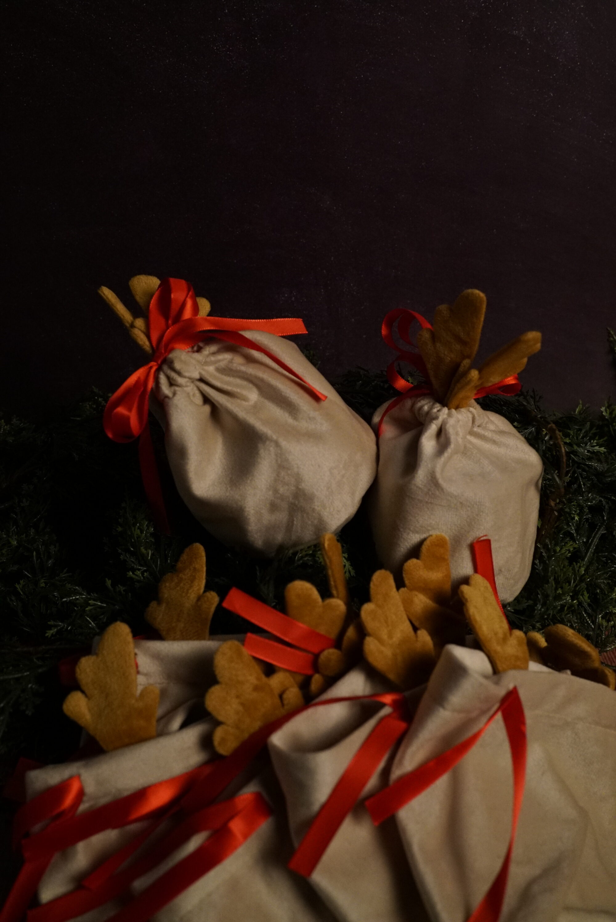 Saco de regalo Orein