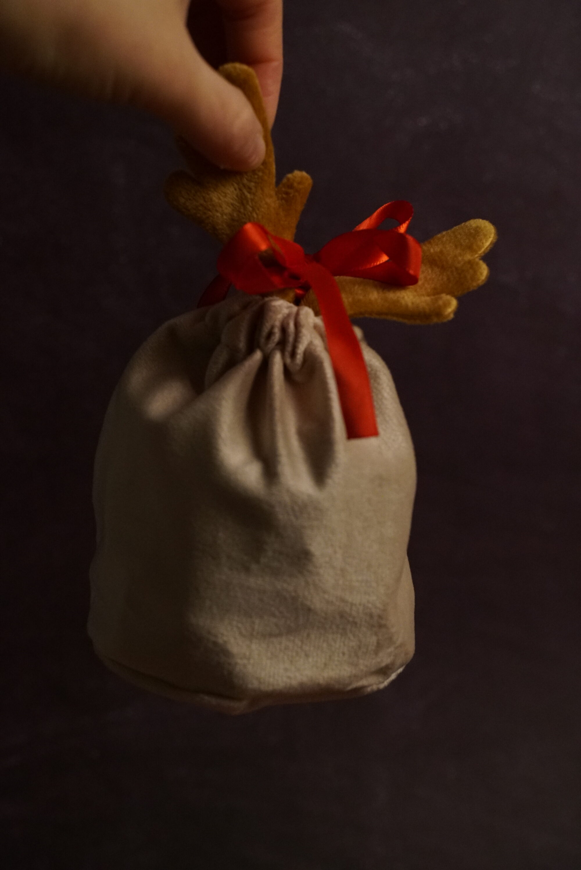 Saco de regalo Orein