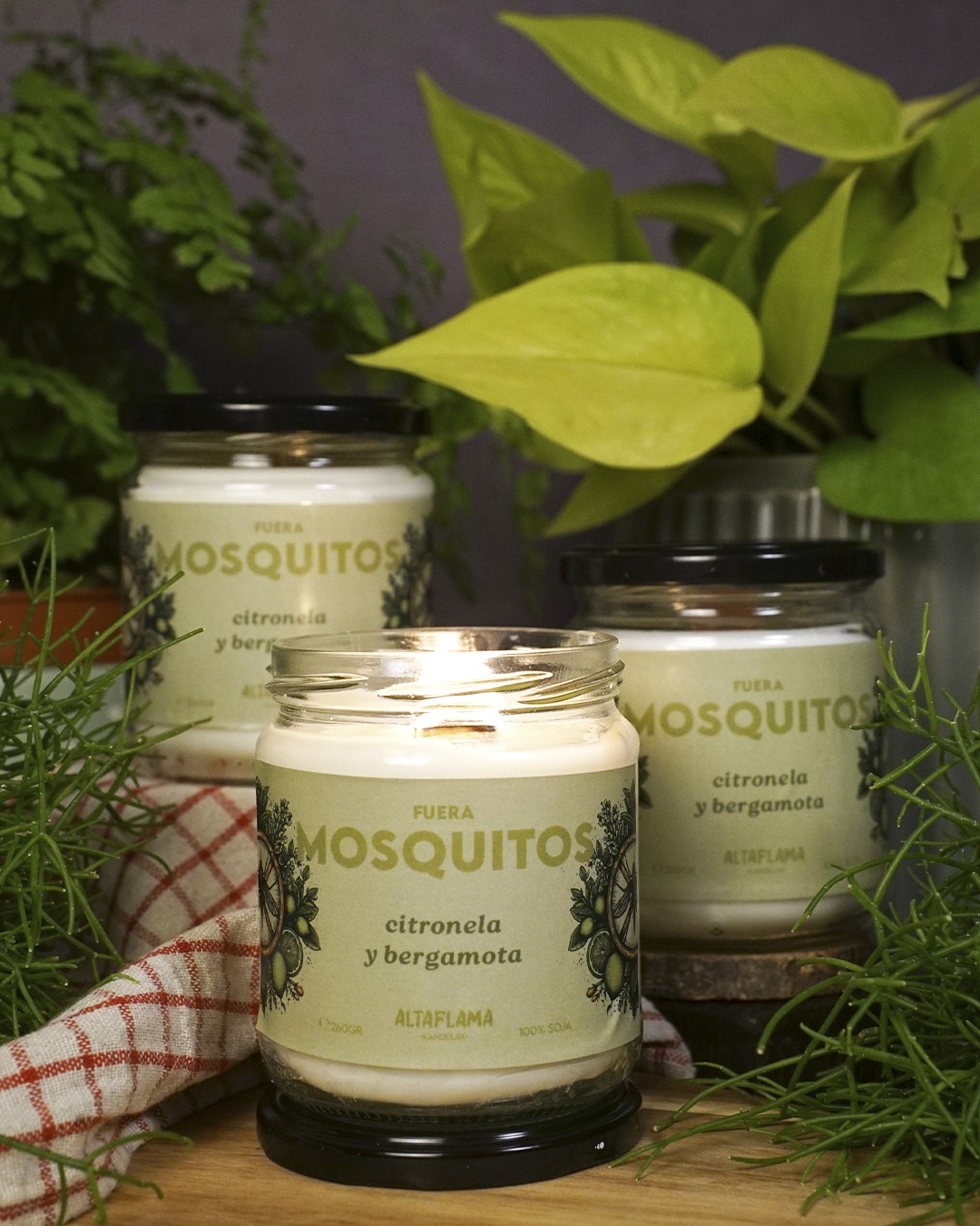 vela anti mosquitos soja citronela composicion Fuera Mosquitos - Citronela y Bergamota (260gr)