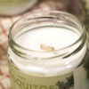 vela anti mosquitos soja citronela detalle Fuera Mosquitos - Citronela y Bergamota (260gr)